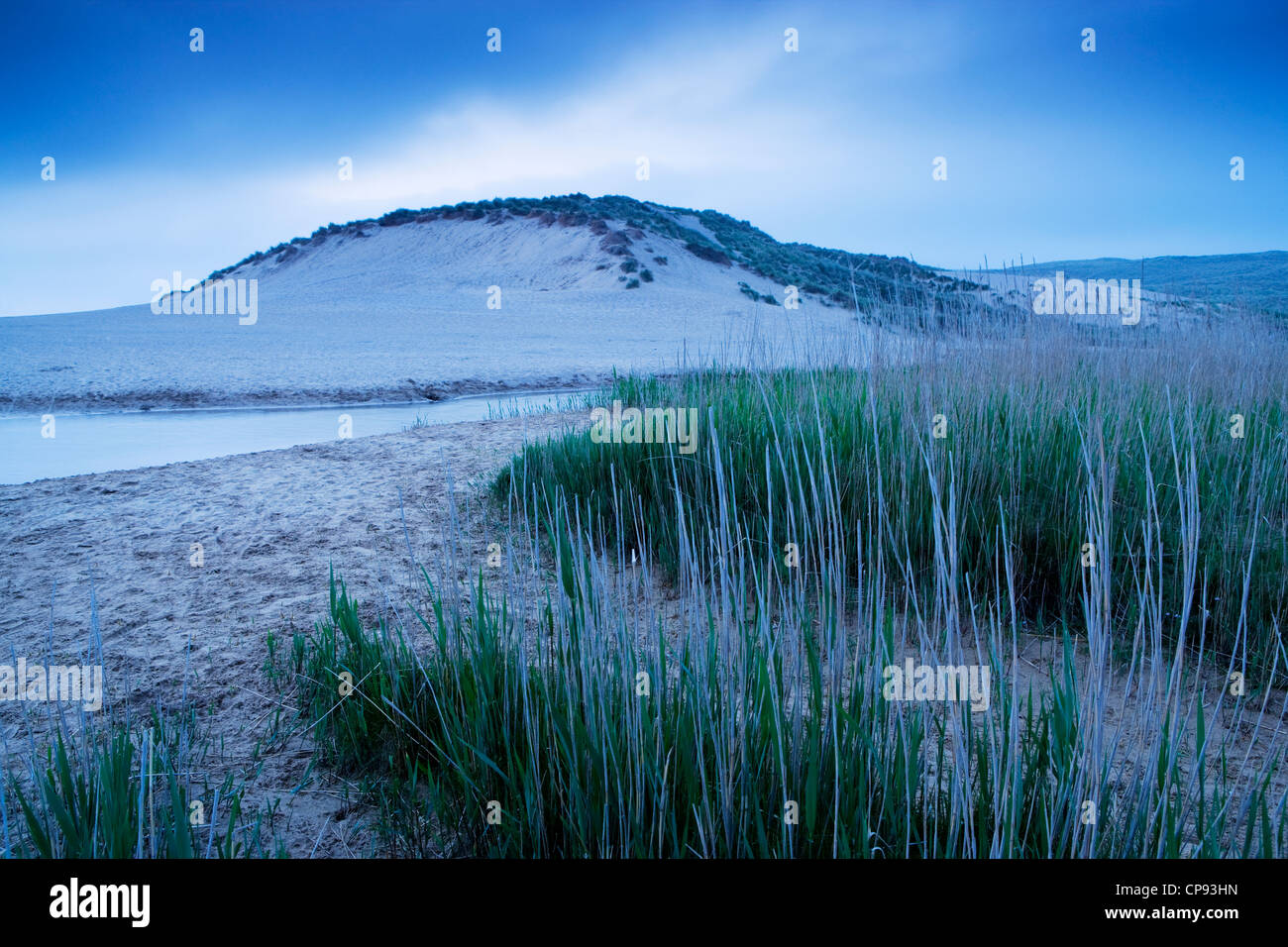 Brume de mer vient lentement à l'intérieur des terres l'enveloppant le paysage côtier Banque D'Images