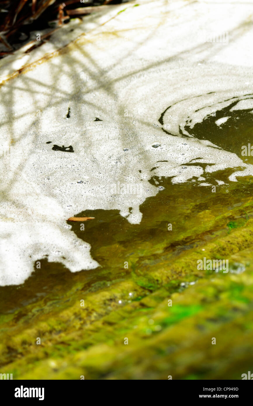 Coulisses de la pollution en naturel et de respect pour l'écologie Banque D'Images