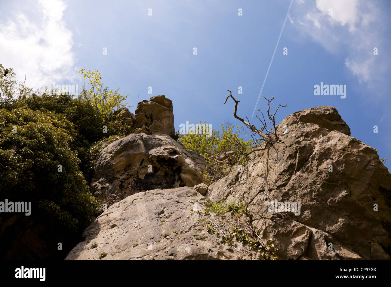 Creswell Crags, gorges de calcaire , Derbyshire, Angleterre. Banque D'Images