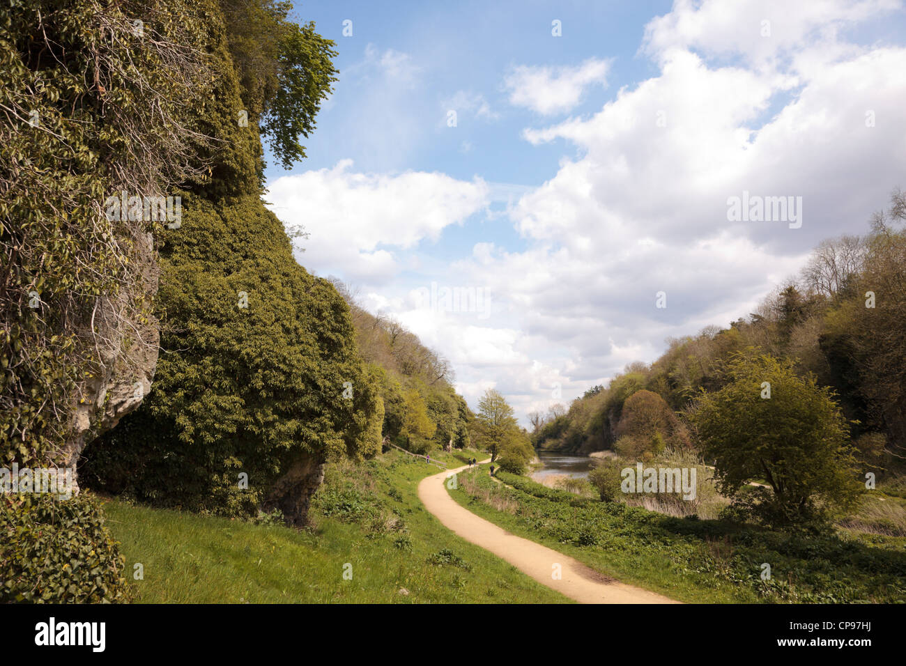 Creswell Crags, gorges de calcaire , Derbyshire, Angleterre. Banque D'Images