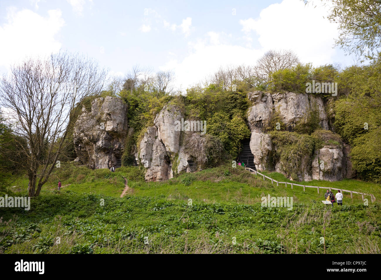 Creswell Crags, gorges de calcaire , Derbyshire, Angleterre. Banque D'Images