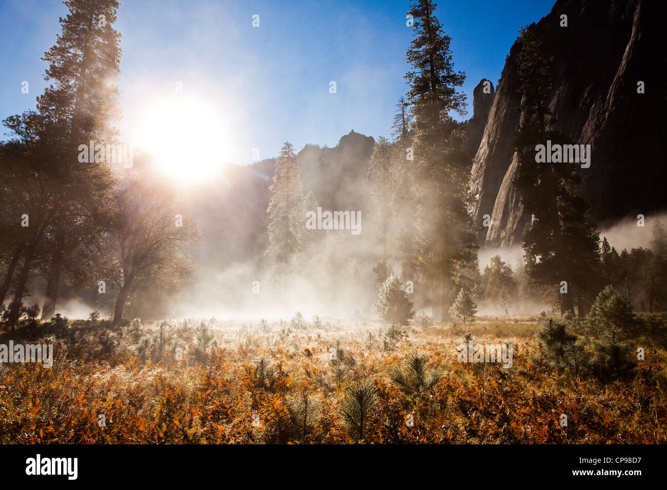 Yosemite National Park Banque D'Images