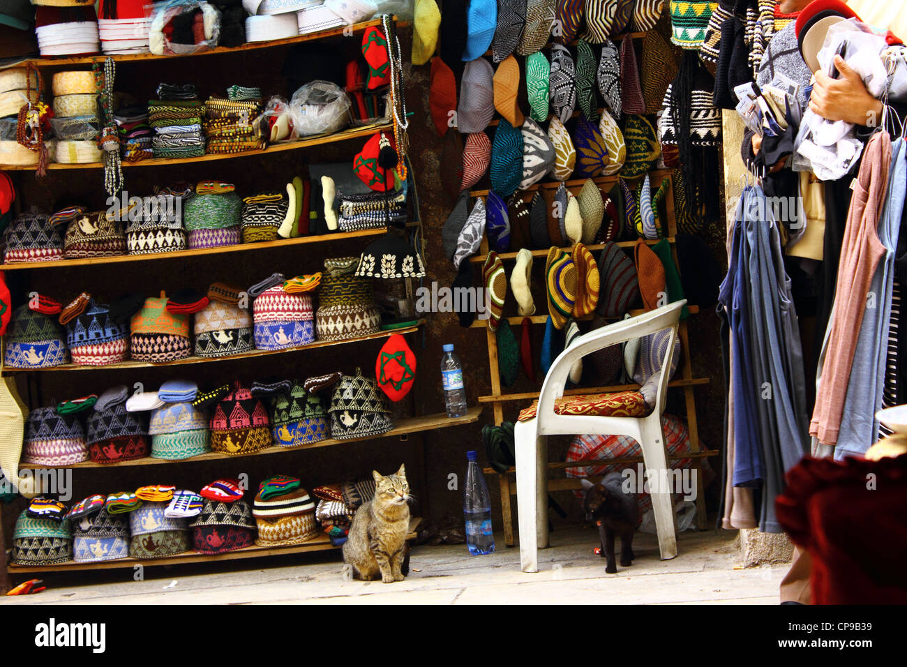 Hat marocain et les caler dans la Médina de Fès, les chats présents Banque D'Images