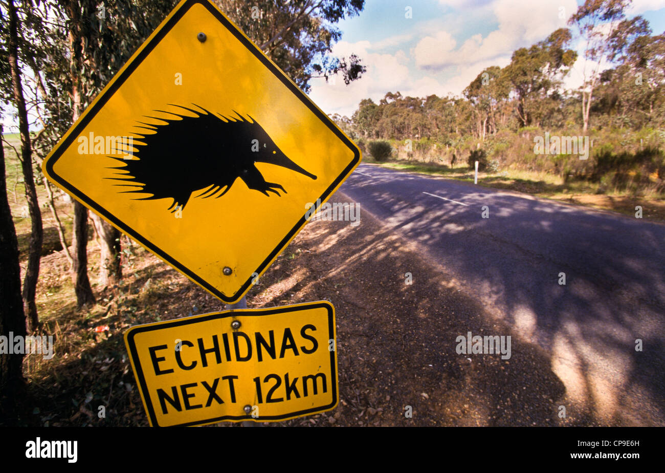 Panneau d'avertissement de la faune sur l'autoroute au nord-est du pays, Victoria, Australie Banque D'Images
