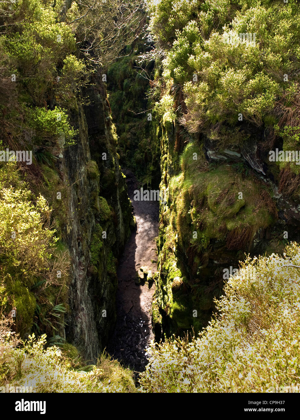 L'église de Lud dans les bois à Gradbach Moorlsnds,Staffordshire, parc national de Peak District Banque D'Images