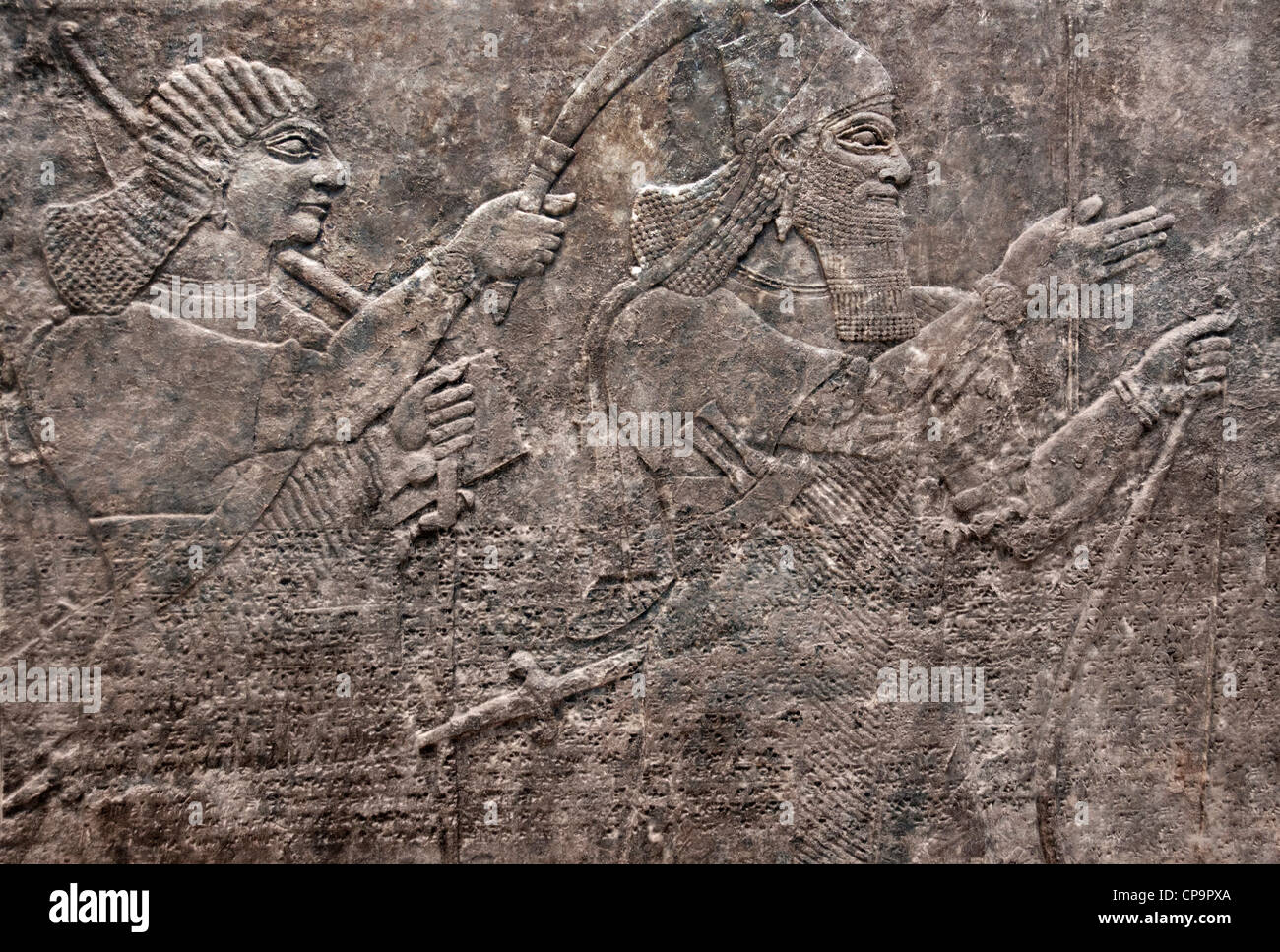 Char de guerre avec les chevaux palais assyrien Neo de Sargon II 721-705 BC Khorsabad Dur Sharrukin ancienne Assyrie Irak Banque D'Images