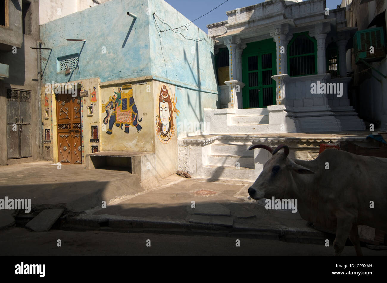 Scène de rue, vieille ville, Udaipur, Rajasthan, Inde Banque D'Images