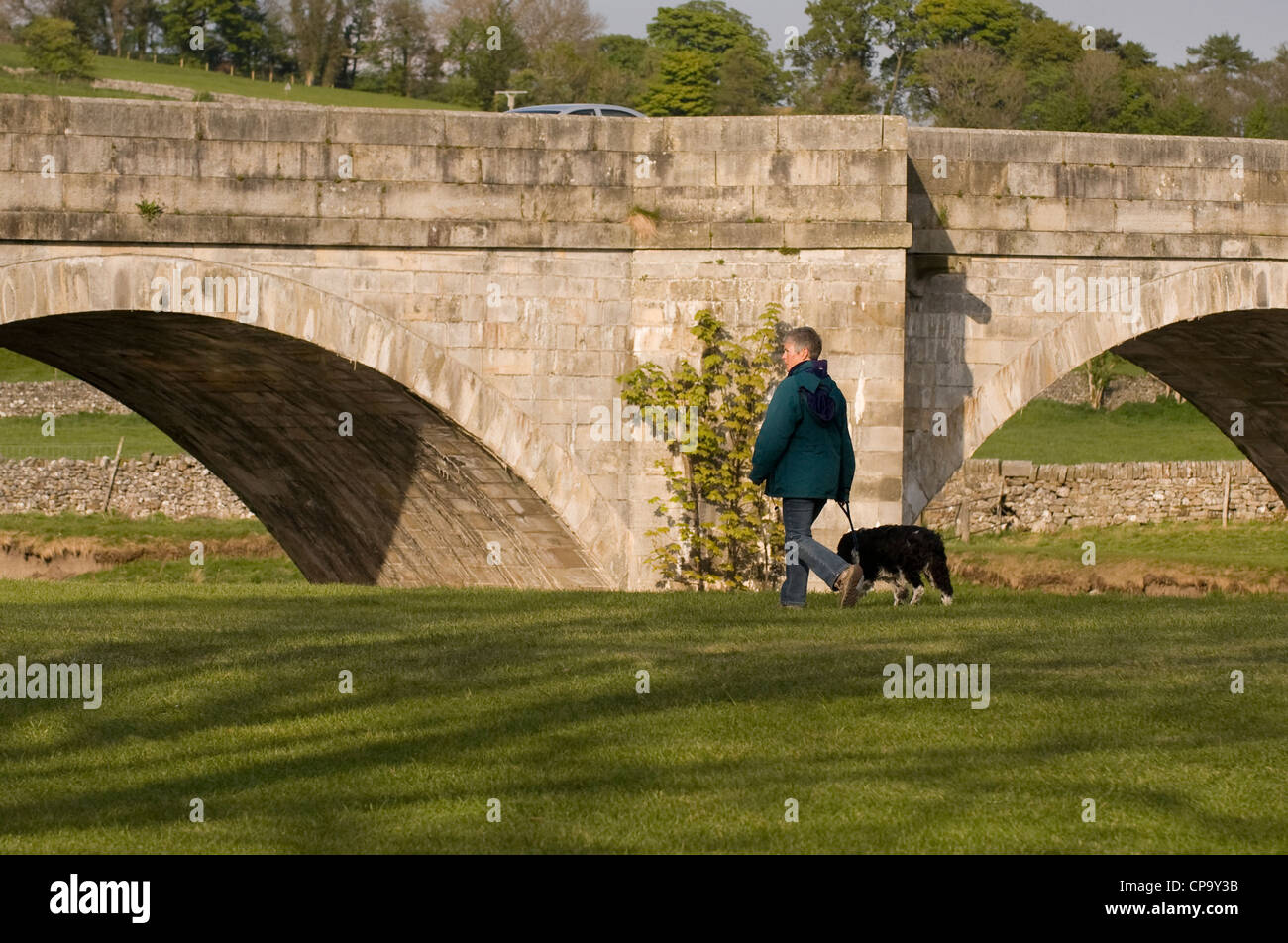 Un chien marche près du pont sur la rivière Wharfe, Tonbridge. Banque D'Images