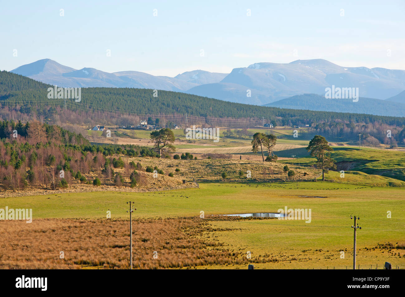 De Cairngorms Grantown-on-Spey, Highland, Scotland, UK Banque D'Images