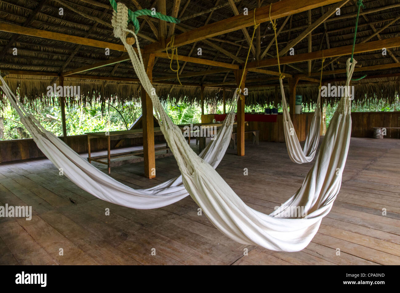Secoya tribu à Secoya lodge amazonie le long de la rivière Aguarico Tierras Orientales Equateur Banque D'Images
