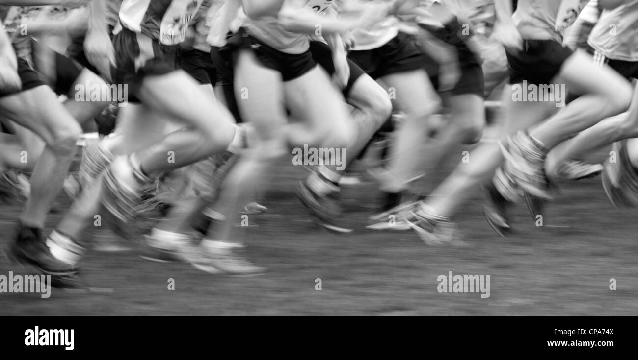 Inter-Counties Cofton Championnats de cross-country Park, Rednal, Birmingham, Angleterre, RU Banque D'Images