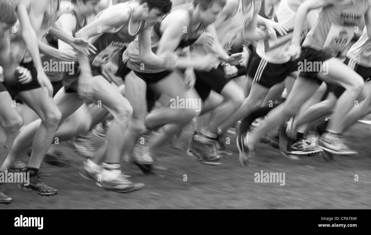 Inter-Counties Cofton Championnats de cross-country Park, Rednal, Birmingham, Angleterre, RU Banque D'Images