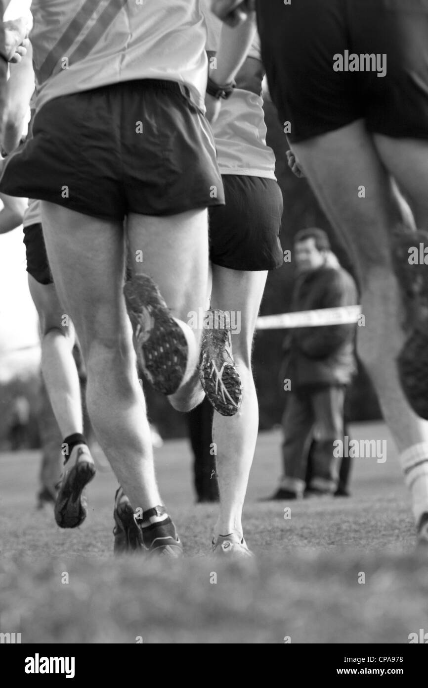 Inter-Counties Cofton Championnats de cross-country Park, Rednal, Birmingham, Angleterre, RU Banque D'Images