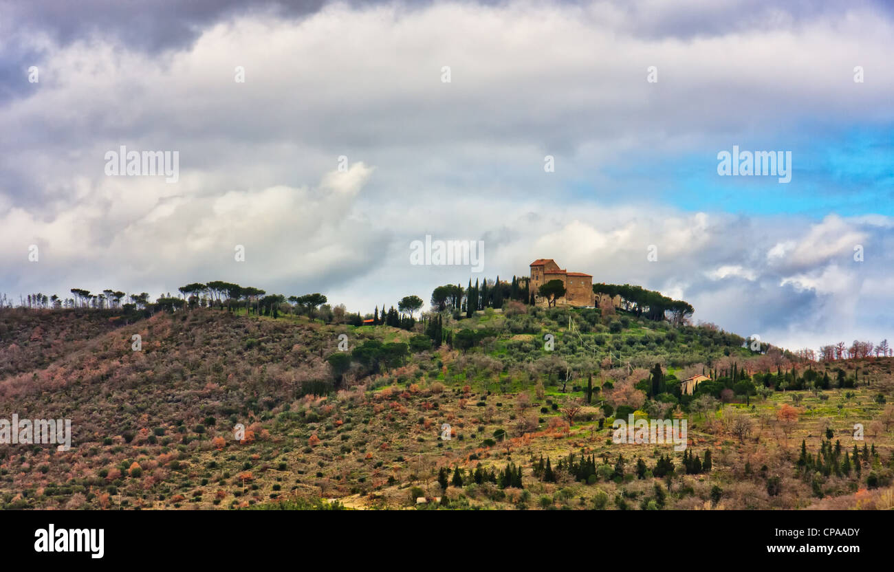 Paysage avec des oliveraies en Ombrie Banque D'Images