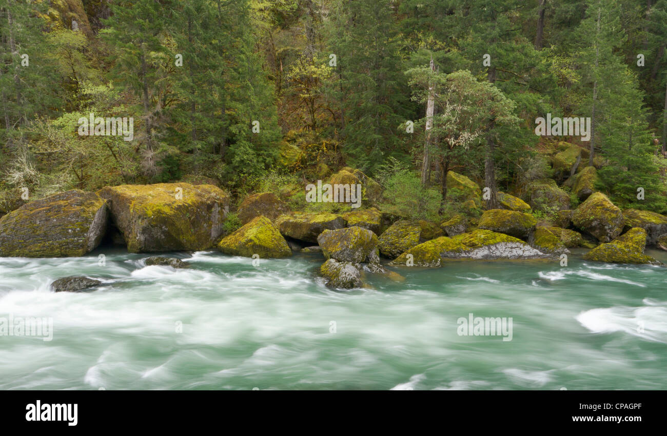 L'Umpqua River, Oregon Banque D'Images