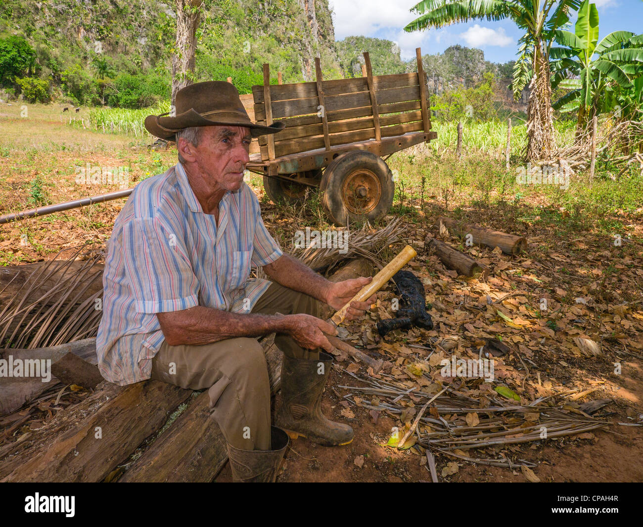 Un homme âgé de 70 à 80 ans cultivateur de tabac cubain se repose et travaille avec ses outils dans sa ferme à Viñales, Cuba dans l'ouest de Cuba. Banque D'Images