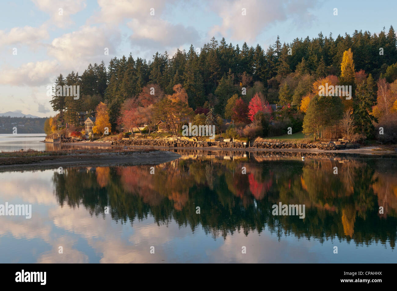 Nous, WA, Bainbridge Island. Fletcher Bay est une baie naturelle sur le côté ouest de Bainbridge. Banque D'Images