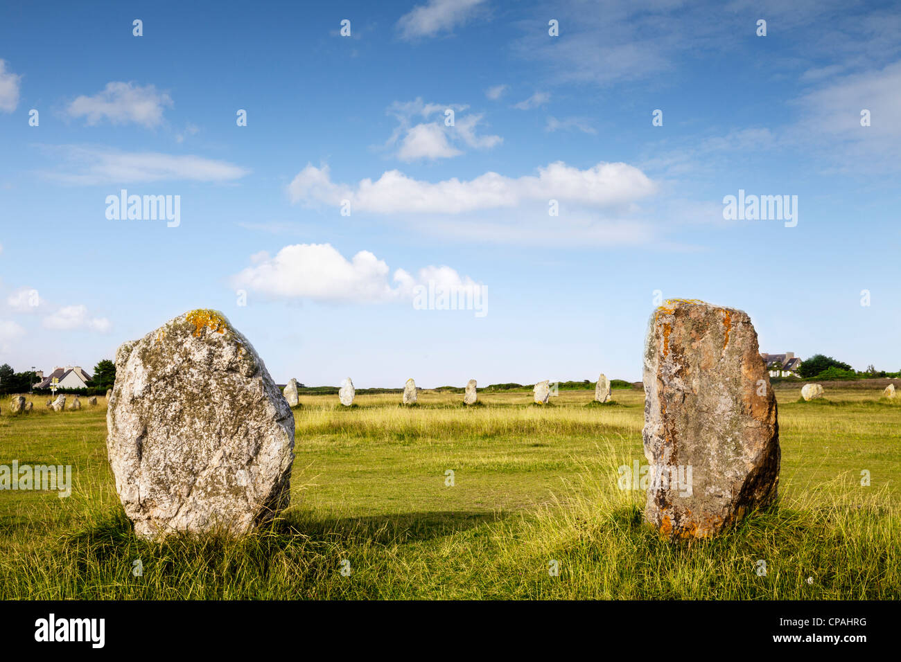 Des pierres dans les alignements de Lagatjar à Camaret-sur-Mer sur la presqu'île de Crozon dans le Finistère, Bretagne, France. Banque D'Images