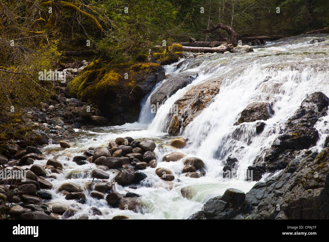 Vue partielle de l'Englishman River Falls près de Parksville sur l'île de Vancouver, Canada Banque D'Images