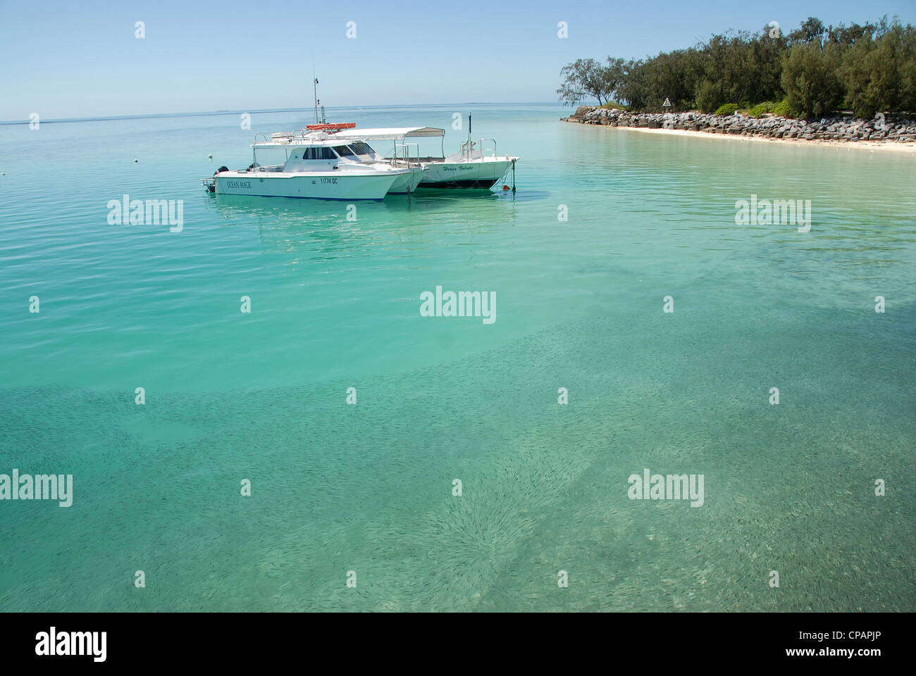 Les eaux turquoises de l'île Heron dans le sud du Queensland, sur la Grande Barrière de corail sont célèbres pour la plongée sous-marine, plongée avec tuba, la voile Banque D'Images