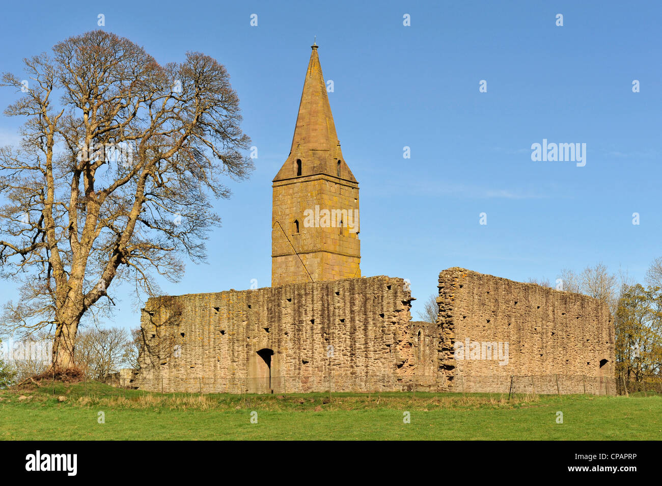 Abbaye de Restenneth, près de Forfar, Angus, Scotland, UK Banque D'Images