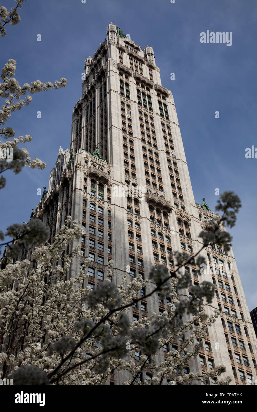 Woolworth Building, conçu par Cass Gilbert, au 233 Broadway à Manhattan, New York City Banque D'Images