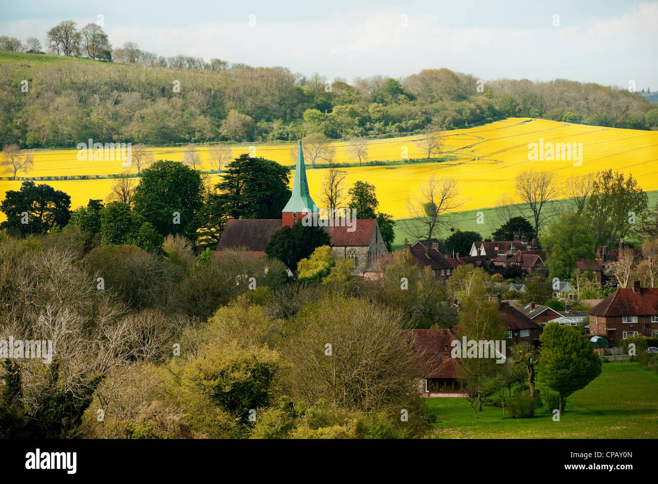 Harting sud West Sussex vue depuis le nord avec clocher d'église et les champs de colza et les cumulus un jour de printemps Banque D'Images