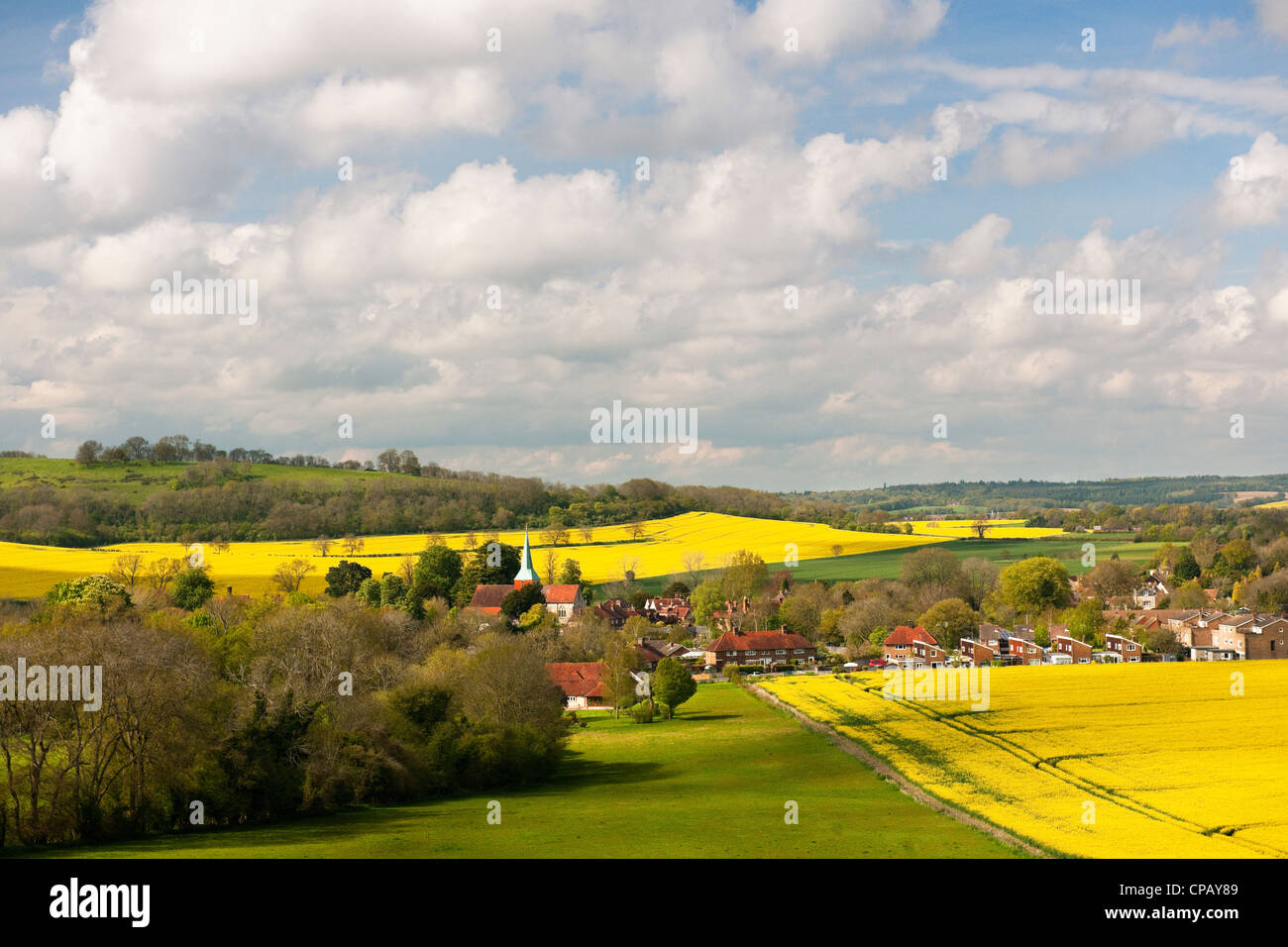 Harting sud West Sussex vue depuis le nord avec clocher d'église et les champs de colza et les cumulus un jour de printemps Banque D'Images