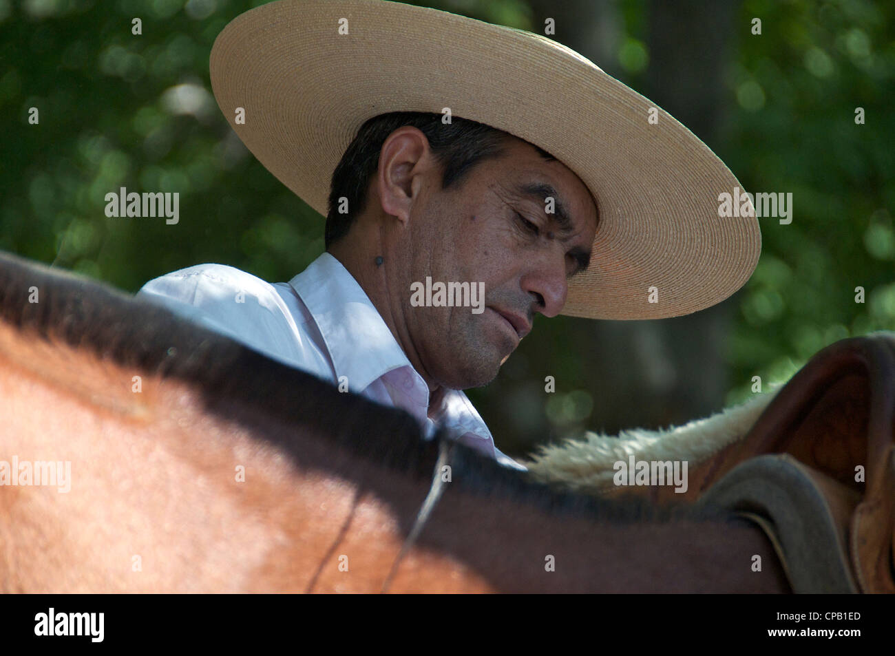 Portrait en gros Gaucho préparer un cheval El Ingenio cajón del Maipo Chili Banque D'Images