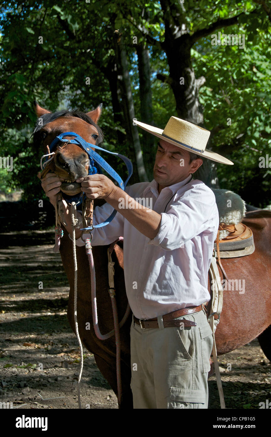 La préparation Gaucho un cheval El Ingenio Cajon del Maipo Chili Banque D'Images