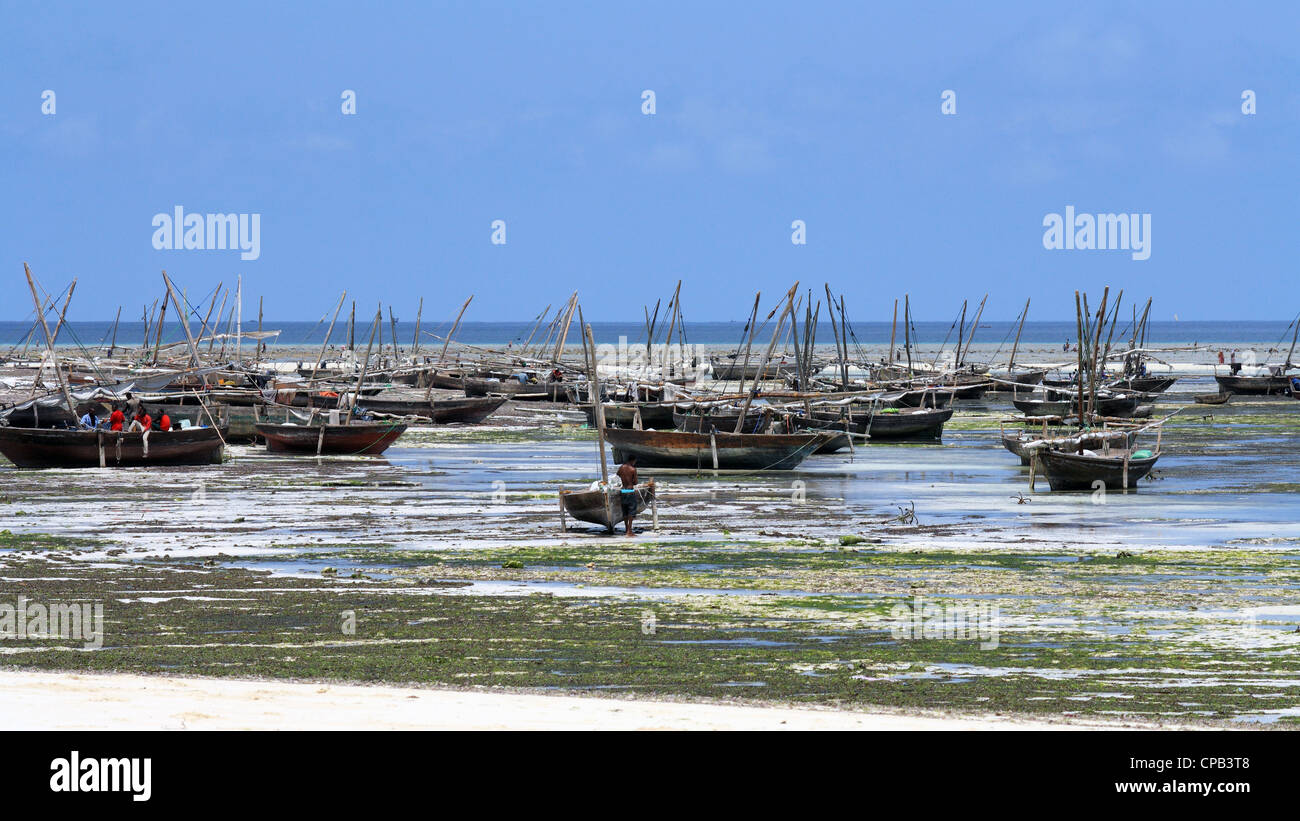 Bateaux en face d'un village de pêcheurs à Zanzibar Banque D'Images