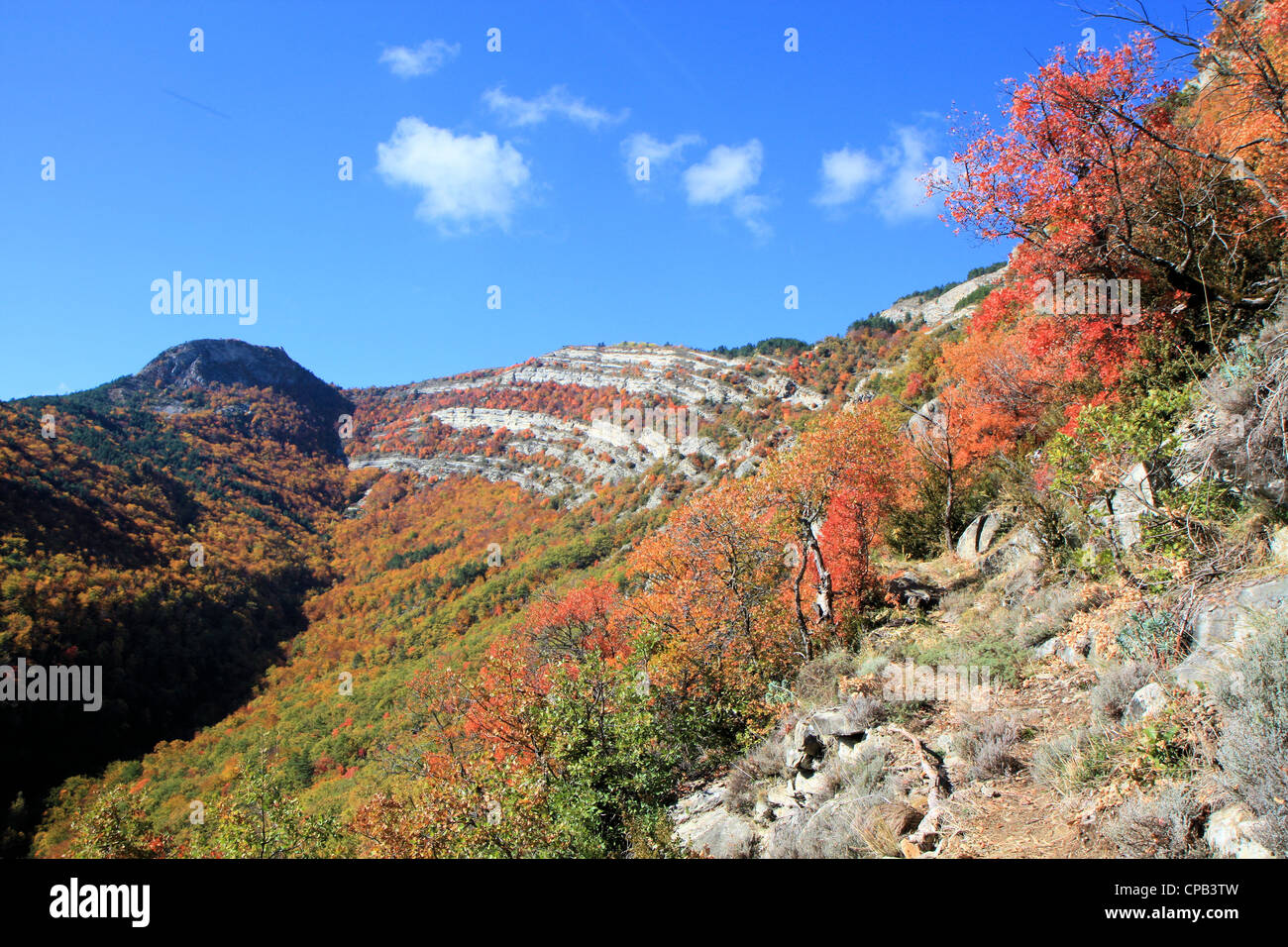 Paysage d'automne coloré, lame de Facibelle, Provence, France Banque D'Images