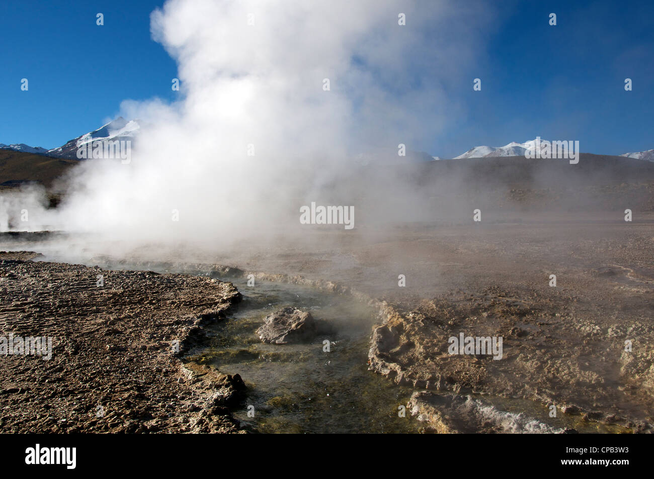 Flux thermique Tatio Geysers Chili Banque D'Images