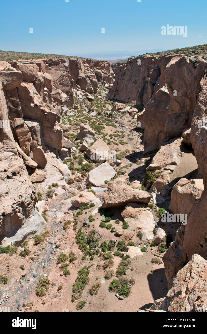 Haut Gorge Socaire Région d'Antofagasta Chili Altiplano Banque D'Images