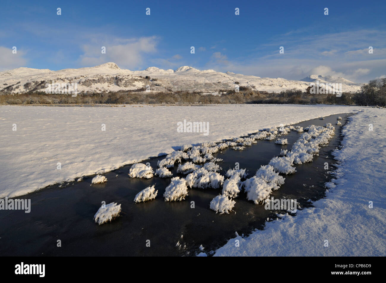 Crue congelée dans un champ avec vue sur la neige et Tarmachan lointaines montagnes Ben Lawers, Killin, Ecosse Banque D'Images