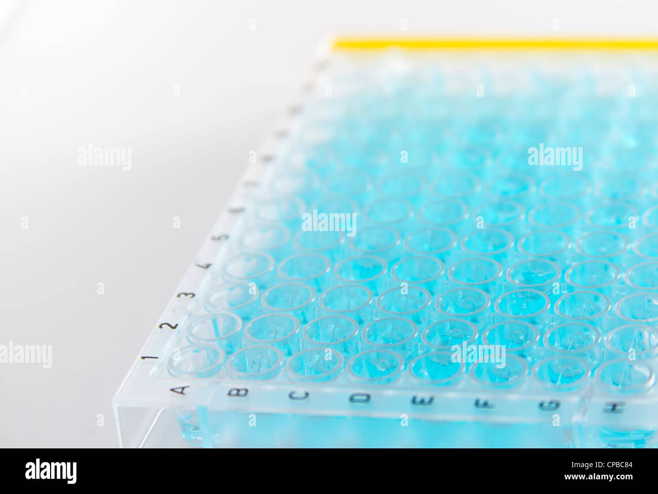 Une plaque de 96 puits utilisés dans les examens médicaux et chimiques à la PCR en temps réel de l'enquête et d'autres tests de laboratoire Banque D'Images