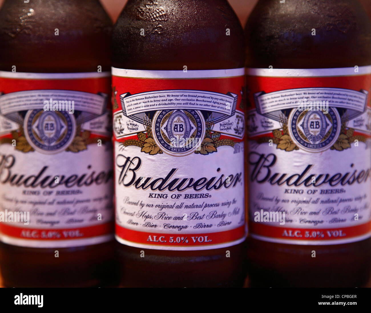 Les bouteilles de bière Budweiser Photo Stock Alamy