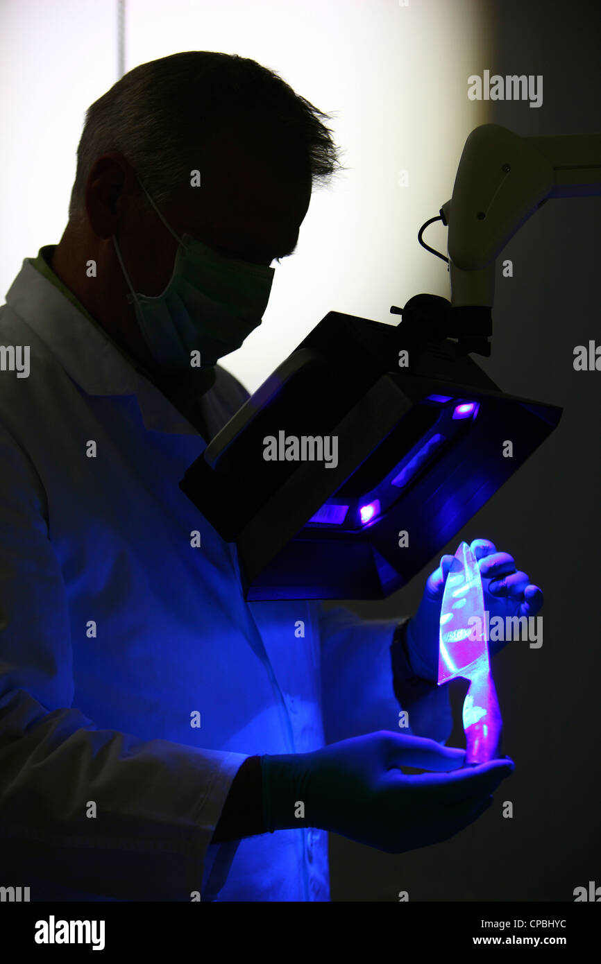 La police. Office d'état de l'enquête pénale. Enquêtes sur les lieux du crime. Laboratoire criminel. L'enquête technique de preuves . Banque D'Images