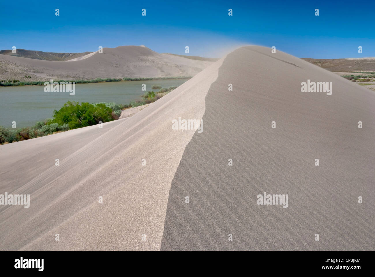 Dune de sable naturelle a le vent souffle le sable du haut Banque D'Images