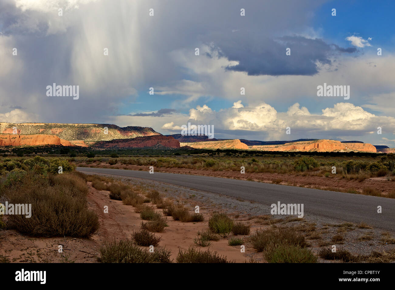 Road et d'arbustes avec des champs verts et paysage de Red Rock, Nouveau Mexique Banque D'Images