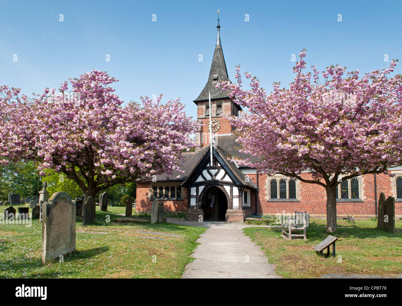 Cherry Blossom en dehors de St Mary's Parish Church, Whitegate, Cheshire, England, UK Banque D'Images