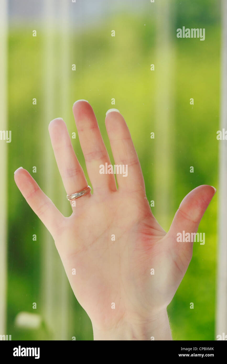 Main derrière la vitre sur un beau fonds de Banque D'Images