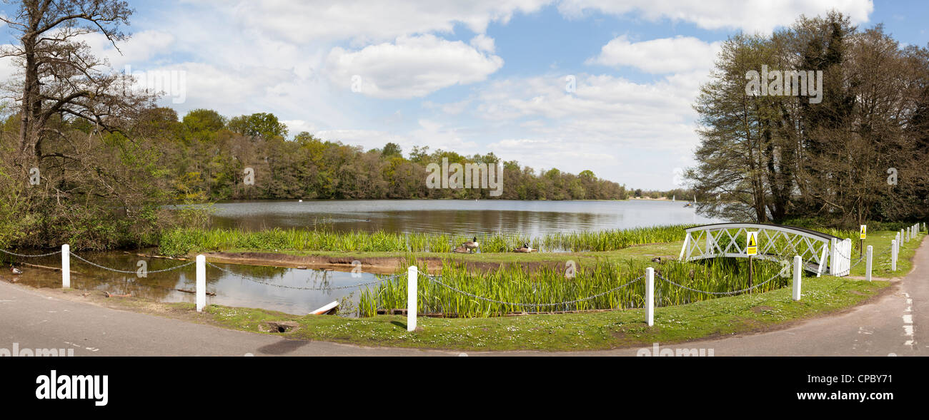 Panorama de frensham Pond à Surrey Banque D'Images