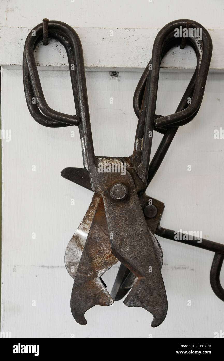 Outils à main DE FABRICATION DU VERRE Banque D'Images