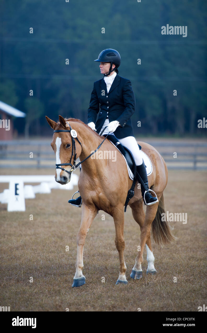 Ashley Leith rivalise Miss Money Penny dans la phase de dressage du concours complet dans la division novice au Florida Horse Park. Banque D'Images