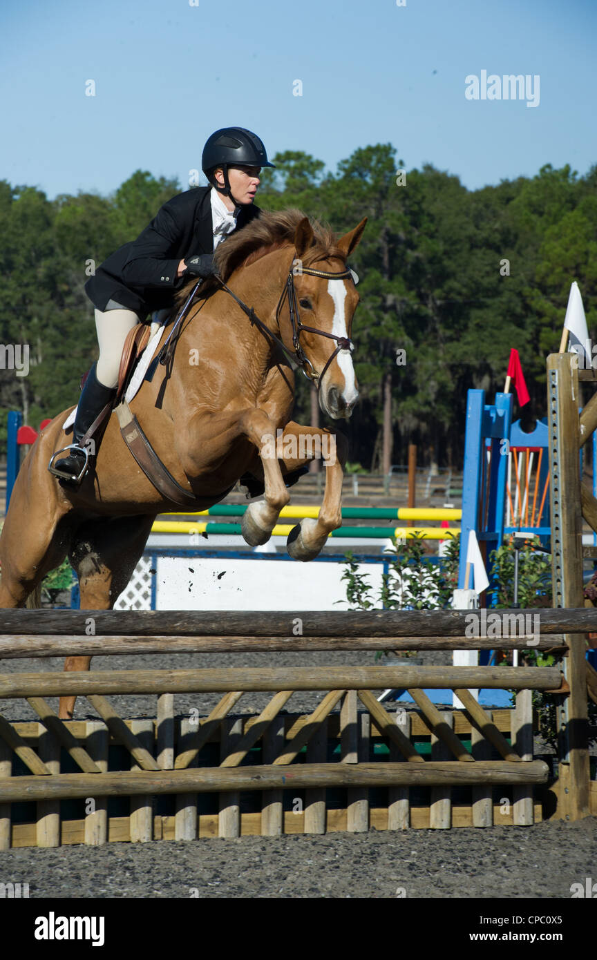 Ashley Leith jumping Miss Money Penny dans la division novice en janvier 2012 à la Florida Horse Park à Ocala, Floride, USA. Banque D'Images