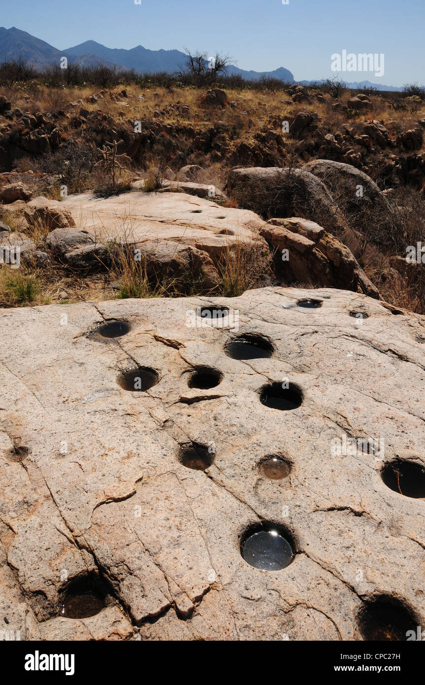 Metates utilisé pour broyer la nourriture par les Amérindiens ou Indiens, Santa Rita montagnes, désert de Sonora, - Sahuarita, Arizona, USA. Banque D'Images