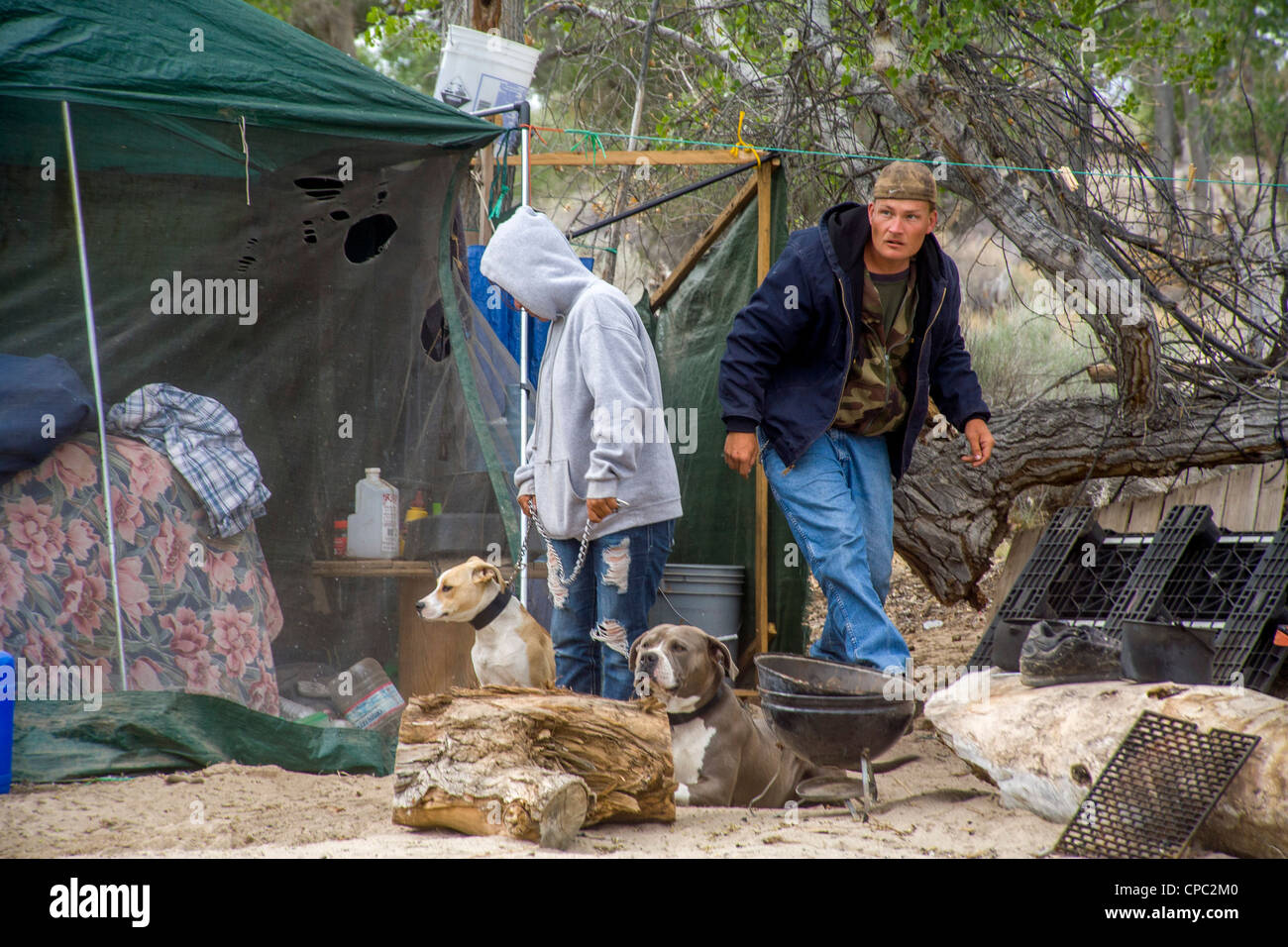 Un couple de sans-abri et leurs chiens vivent dans une cabane et une vieille tente dans un campement en plein air en ville du désert en Californie Banque D'Images