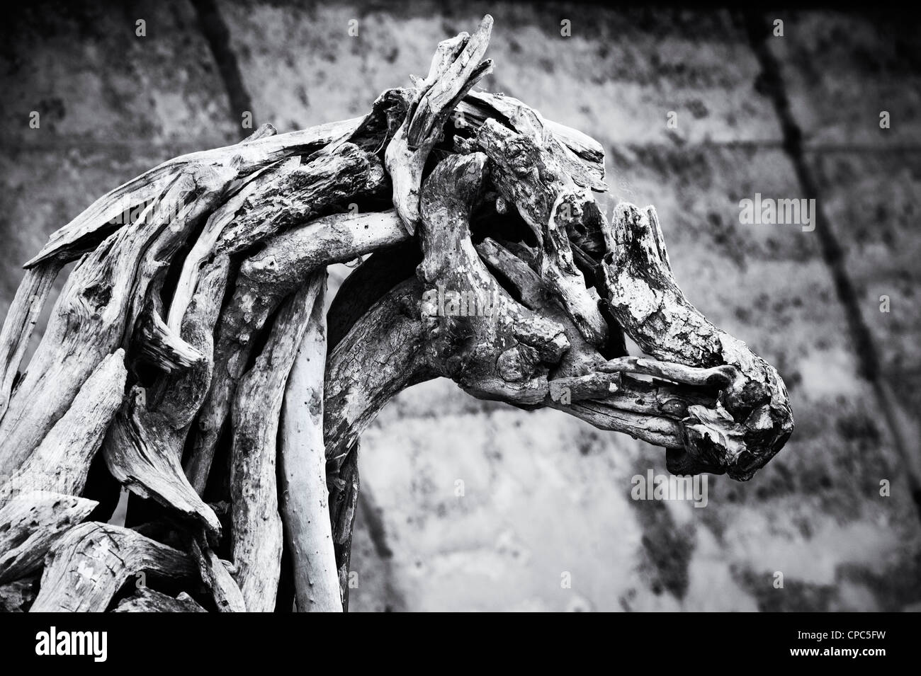 Driftwood horse sculpture par Heather Jansch, Eden Project, Cornwall. Devon. L'Angleterre Banque D'Images