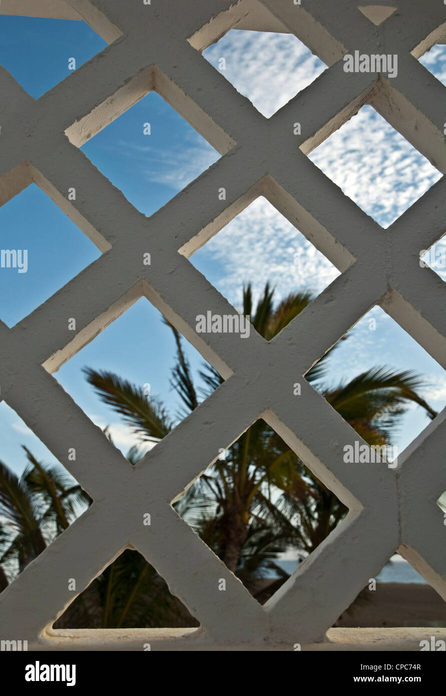 Voir à travers un balcon garde-corps sur une plage avec des palmiers. Banque D'Images